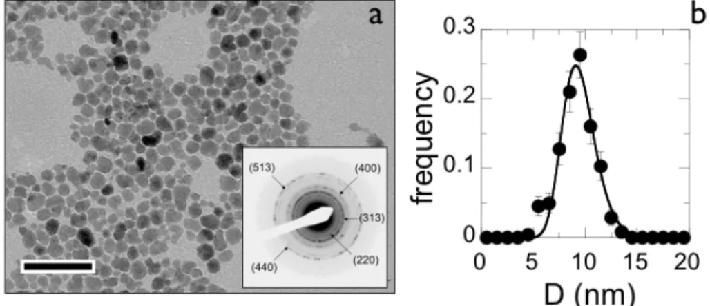 Figure 1 : a) Transmission electron microscopy of iron oxide  γ -Fe 2 O 3  at the magnification of  × 120000