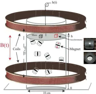 Fig. 2: (Color online) Snapshots of magnetic granular gas. N = 20. (a) Initial conditions: B = 0, a plexiglas lid is laying on the particles