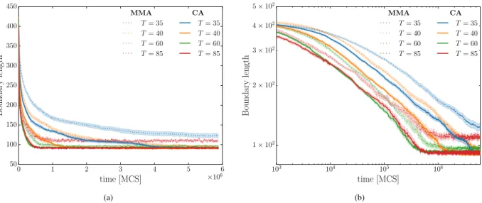 Figure 12: (a) Boundary length (number of edges that are shared by blue and yellow cells) as a function of time, for four different simulation temperatures: T = 35, T = 40, T = 60, and T = 85