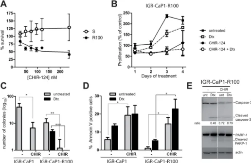 Figure 6: CHEK1 inhibition induces cell death in Docetaxel-resistant cells.  A: Dose-dependent growth of IGR-CaP1 and IGR- IGR-CaP1-R100 cells
