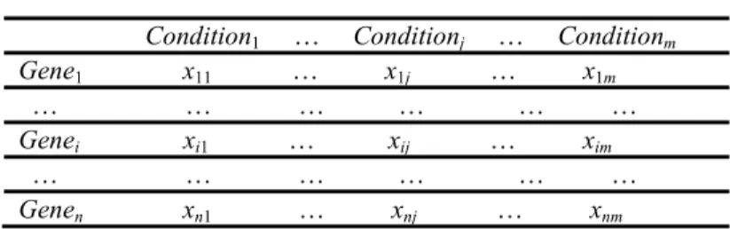 TABLE 1  Gene Expression Data Matrix.   