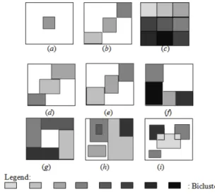Figure 1 Possible structures of a group of biclusters in a data matrix. 