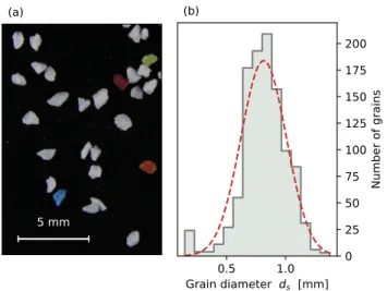 FIG. 1. (a) Sediment grains. (b) Shaded histogram: grain- grain-size distribution of a sample containing 1084 grains