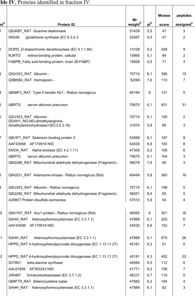 Table IV. Proteins identified in fraction IV.
