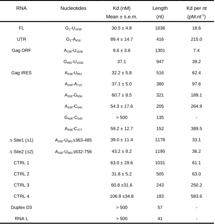TABLE  1:  DDX3-DQAD binding affinities to HIV-1  gRNA fragments. Filter binding  assays were performed in the presence of 5 nM RNAs and increasing concentrations of  DDX3-DQAD