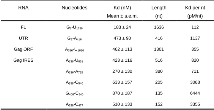 TABLE 3: DDX3 132-607  DQAD binding affinities to HIV-1 gRNA fragments. Filter binding  assays were performed in the presence of 5 nM RNAs and increasing concentrations of  DDX3-DQAD