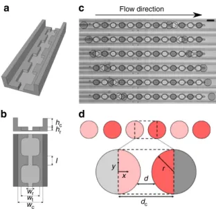 Figure 1 | Microﬂuidics for the control of minimal emulsions. (a) Sketch of the trapping channel based on rails and anchors 34,42,43 
