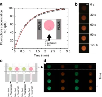 Figure 5 | Flow-induced targeted delivery. (a) A droplet trapped in a microchannel is exposed to an oil doped with ﬂuorescent dye (see inset).