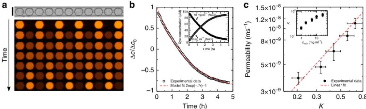 Figure 6 | Emulsion-based targeted delivery. (a) White-light picture of an immobilized row of droplets and time sequence of ﬂuorescence signals (0, 0.5, 1, 1.5, 2, 2.5, 3 h after immobilization, scale bar, 100 mm)
