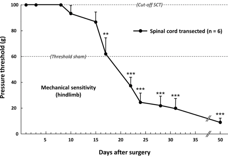 Figure 1. Time-course changes in the pressure threshold value to trigger hindpaw withdrawal in spinal cord-transected rats.