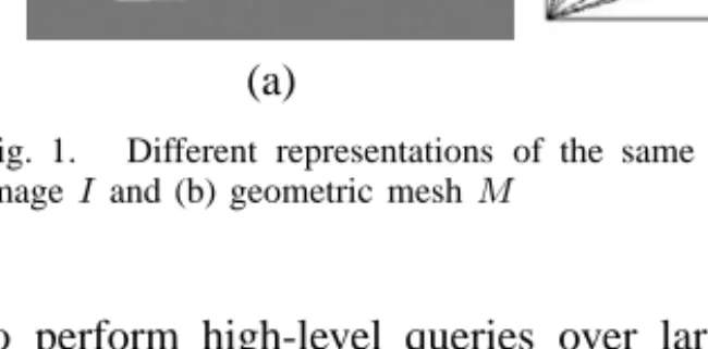 Fig. 1. Different representations of the same object: (a) gray intensity image I and (b) geometric mesh M