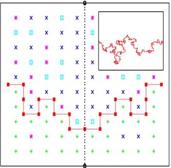 FIG. 1: Definition of the interface. The interface separetes the spins with a fixed value connected to the bottom  bound-ary from spins with other colors