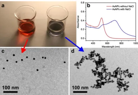 Fig. 3 a Au NP solution without NaCl (left ) and with NaCl (right).