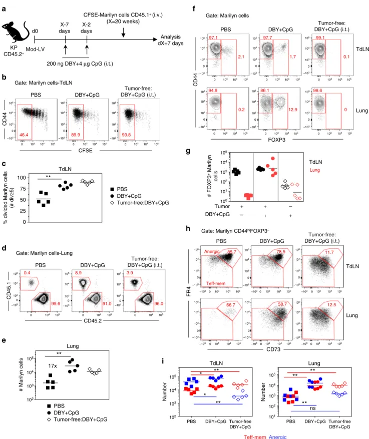 Fig. 6 Concomitant administration of DBY and CpG at the tumor site reinforces tumor-mediated immunosuppression