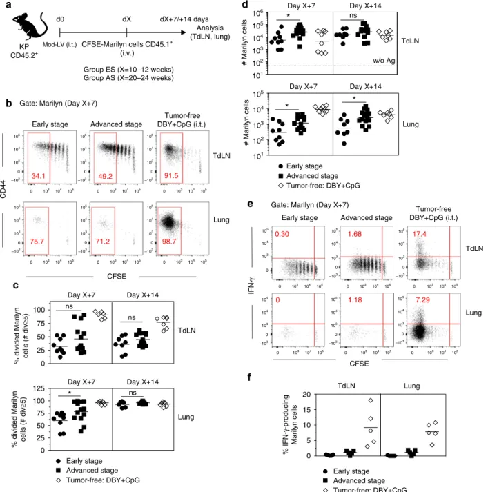 Fig. 1 Priming of tumor Ag-speci ﬁ c naive CD4 + T cells is not suf ﬁ cient for full activation and migration to tumor site