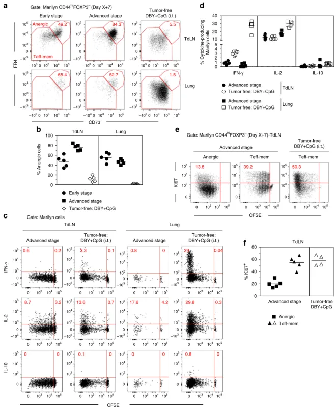 Fig. 3 Most of activated tumor Ag-speci ﬁ c CD4 + T cells becomes anergic. a CD73 and FR4 expression by CD44 hi FOXP3 - Marilyn cells in tumor-bearing mice or tumor-free B6 mice inoculated with DBY + CpG (i.t.); b frequency of FR4 hi CD73 hi (anergic) Mari