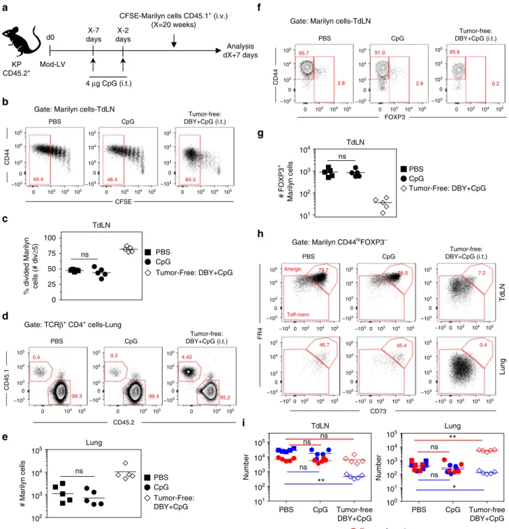 Fig. 5 CpG administration at the tumor site does not restore an effector CD4 + T cell response