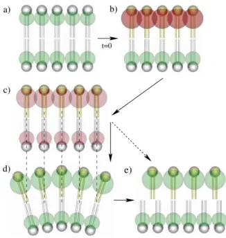 FIG. 1 (color online). (a) Initial bilayer. (b) At t ¼ 0, a lipid chemical modification (gold) induces an effective compression indicated by the red spheres on the ‘‘neutral surface.’’ (c) In a very short time &amp; 1 s , the lipids slide in both monolayer