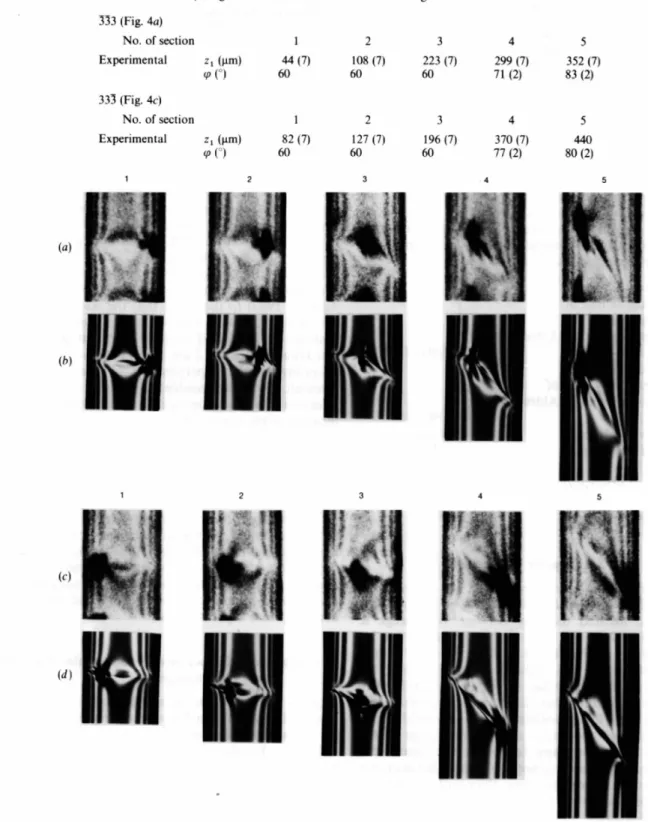 Fig. 4. Experimental  (a and  c) and  simulated (b and  at) section  topographs  for the  333 (a and  b) and  333 (c and  d) reflections of dislocation  1