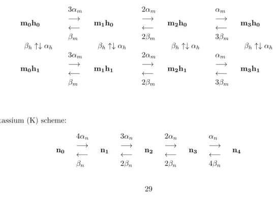 Figure 6 illustrates the convergence of the mean spiking time of both the subunit and the channel model when the number of channels goes to infinity