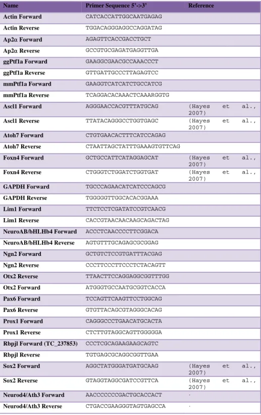 Table S1: Summary list of primers used in this study. 