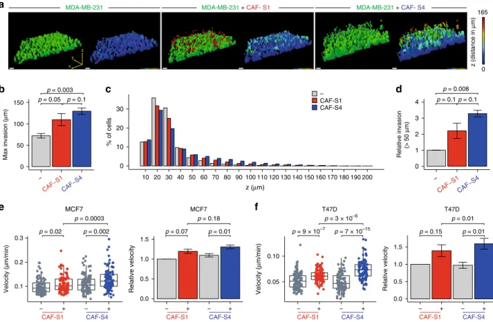 Fig. 6 CAF-S4 promote tumor cell invasion in 3D. a Representative 3D views of MDA-MB-231 invasion assessed by inverted Transwell assays, in CAF- CAF-free (left), CAF-S1- (middle) or CAF-S4- (right) embedded collagen matrix