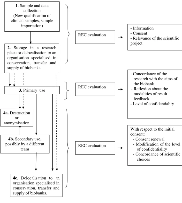 Figure  1:  Steps  in  the  constitution  and  use  of  a  biobank  requiring  REC  evaluation  under the criteria listed  