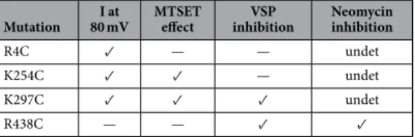 Table 1.   Functional effect of cysteine mutations in certain TASK-2 positively-charged residues