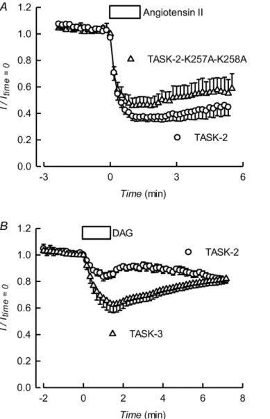 Figure 3.  Gq protein coupled receptor inhibition of TASK-2 and minor effect of diacylglycerol