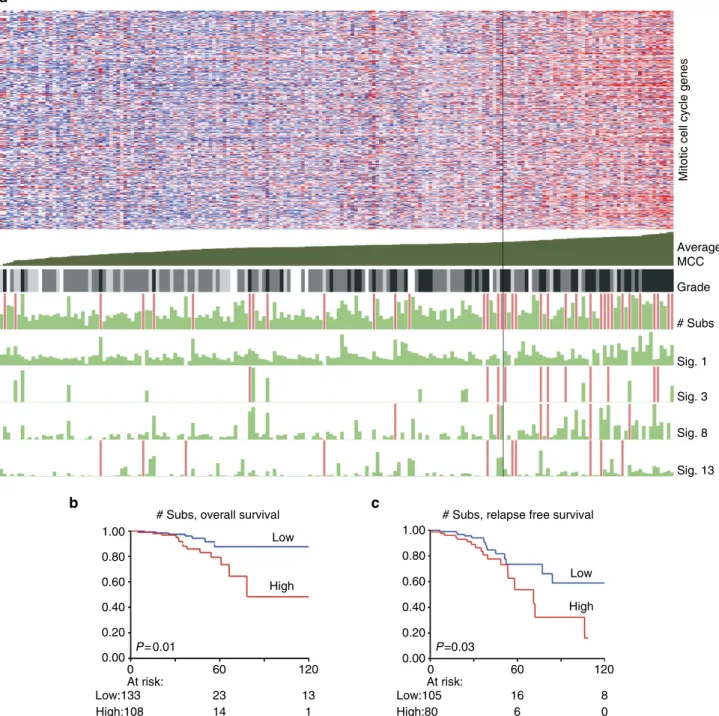 Figure 3 | Mitotic cell cycle gene activity related to mutational signatures and outcome