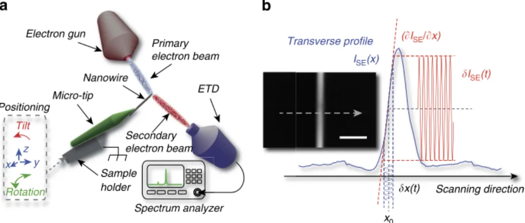 Figure 1 | Detecting nanoscale dynamics with a SEM. (a) Schematic of the experimental set-up