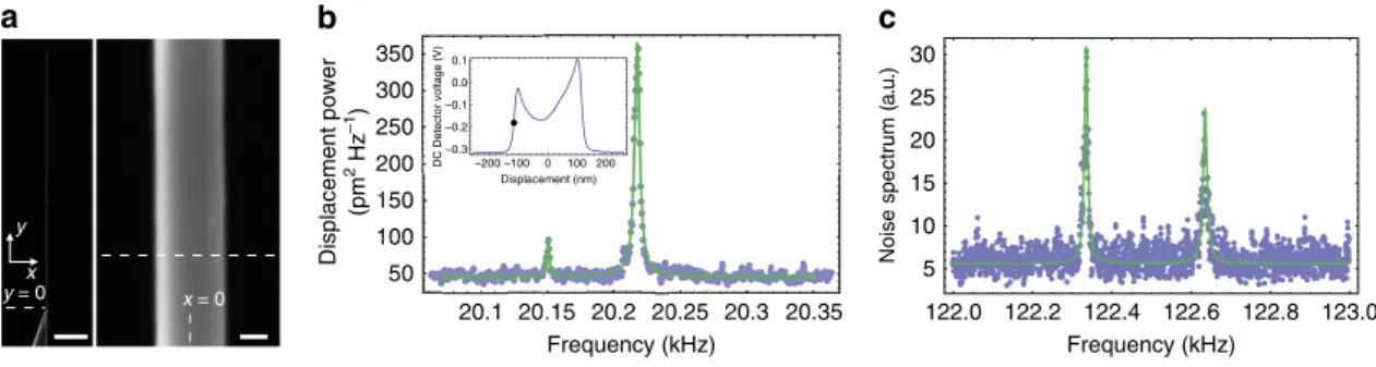Figure 2 | Brownian motion detection of a SiC nanowire in a SEM. (a) SEM static images of the nanowire used in the present study