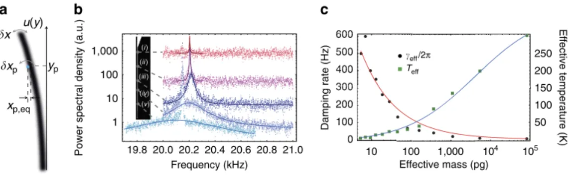 Figure 3b shows the spectral evolution of the transverse funda- funda-mental vibration when moving the probe from the anchor to the edge of the nanowire