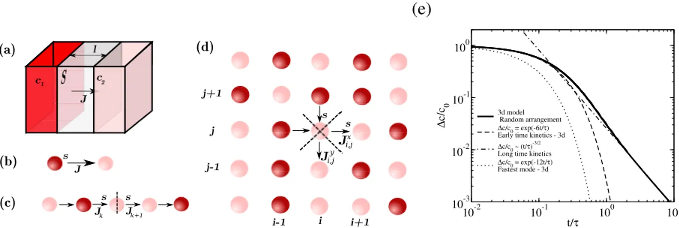 Figure 5 Model for molecular exchange. (a) For a porous membrane separating two compartments, the flux J depends on the concentration difference and geometry parameters (s, L)