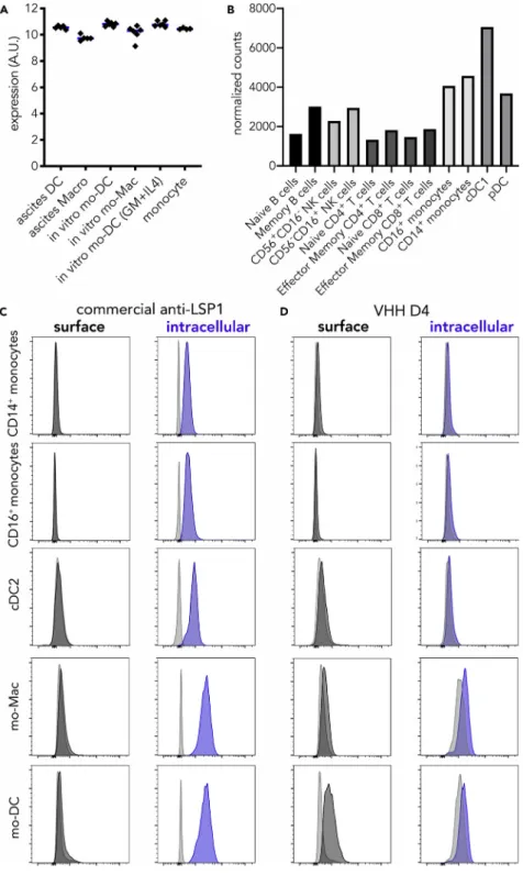 Figure 4. VHH D4 Recognizes a Surface Epitope of LSP-1 Specifically Expressed by mo-DC