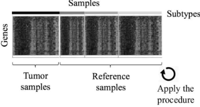 Fig. 3: Construction of the tumor and reference data set: due to the absence of normal tissue data, the whole tumor data set is divided into a tumor-specific one (samples from one subtype) and a reference one (samples from all other subtypes).