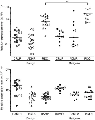 Figure 5 Quantification of the mRNA levels of AM receptors CRLR, ADMR, and RDC1 and the associated proteins RAMP1, RAMP2, and RAMP3 in benign and malignant  pheochromo-cytomas
