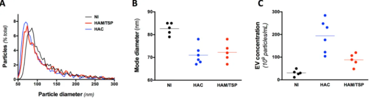 Figure 1.  EVs are more abundant and smaller in the plasma of HTLV-1 infected individuals