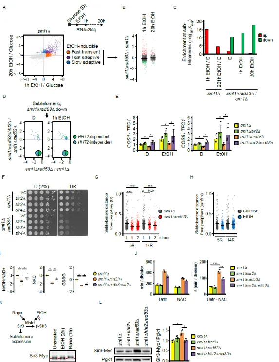 Figure 2. Excess histones disrupt adaptation to glucose restriction by subtelomere hyper-silencing 