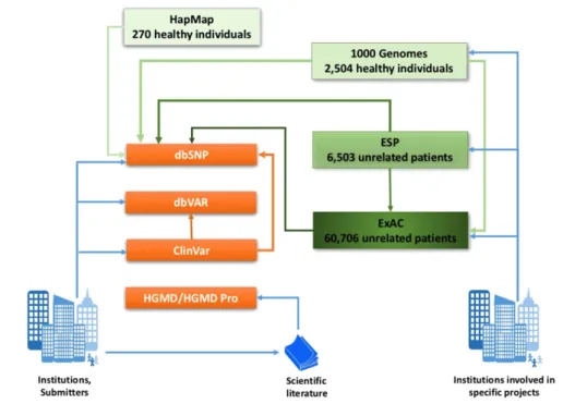 Figure 1. Interconnections between databases.