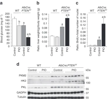 Figure 4 | Pharmacological activation of PPAR γ  by Pioglitazone promotes  growth of PTEN-null liver