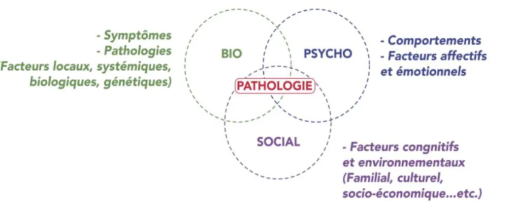 Figure 2 : Modèle bio-psycho-social de Engel 