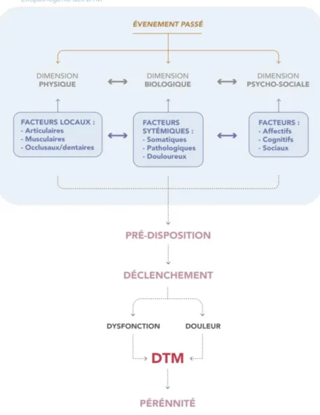Figure 7 : Modèle de compréhension étiologique des DTM 