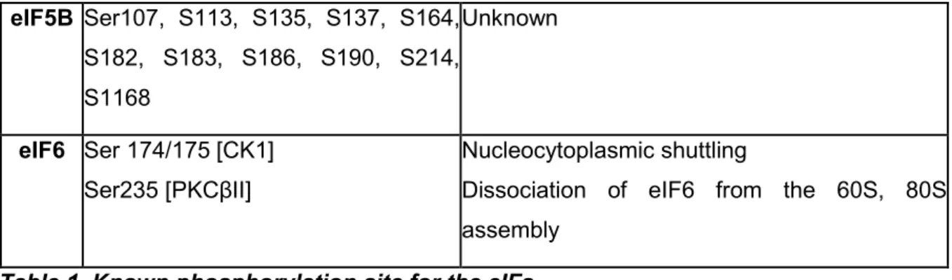 Table 1. Known phosphorylation site for the eIFs 