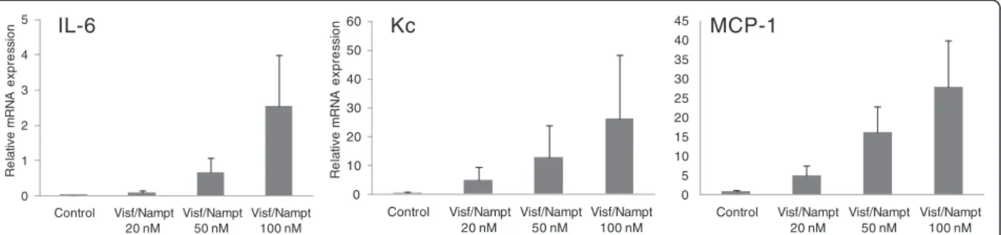 Figure 7 Dose – response effect of visfatin/Nampt on the mRNA expression of interleukin-6, keratinocyte chemoattractant and monocyte chemoattractant protein 1 by murine osteoblasts