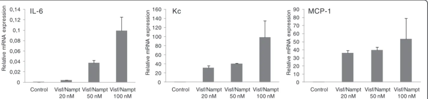 Figure 5 Dose – response effect of visfatin/Nampt on the mRNA expression of interleukin-6 (IL-6), keratinocyte chemoattractant (Kc) and monocyte chemoattractant protein 1 (MCP-1) by murine chondrocytes (from left to right)