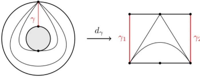 Figure 4. Cutting an annulus to get a disc without punctures.