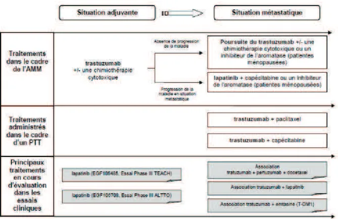 Figure 8 Schéma générique des stratégies thérapeutiques anti-HER2  autorisées ou temporairement acceptables 