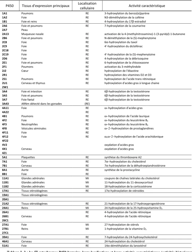 Tableau  I.  3  : les  57  cytochromes  P450  humains,  leurs  localisations  et  leurs  activités  caractéristiques  (activités  historiques  qui ont permis de détecter le P450)