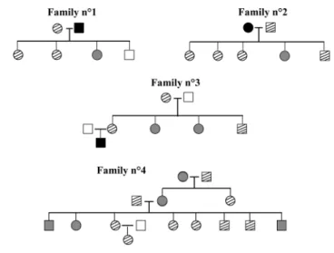 Figure 4. Familial segregation of individuals with various methylation profiles analyzing DNA samples from fresh blood.